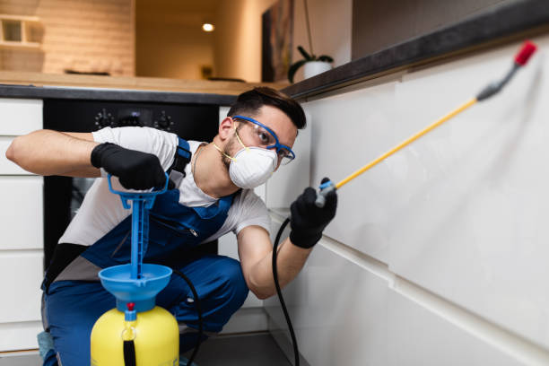 Best Mosquito Control Services  in Lauderdale, MN