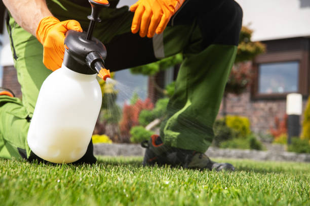 Best Pest Prevention Services  in Lauderdale, MN