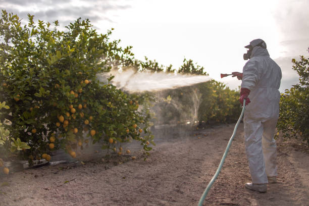 Best Affordable Pest Control Services  in Lauderdale, MN