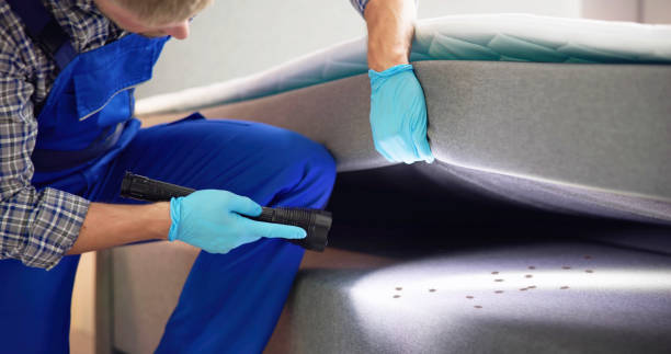 Best Mosquito Control Services  in Lauderdale, MN