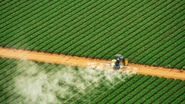 Reliable Lauderdale, MN Pest Control Solutions